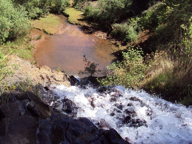 Naturaleza en Morelia